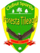 Hutan Tileagd FC